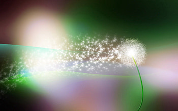 Abstract, Glare, Stains, Spots, Pollination, Dandelion, Wind HD wallpaper