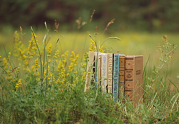 Grass, Books, Miscellanea, Miscellaneous, Mood, Stack, Pile HD wallpaper
