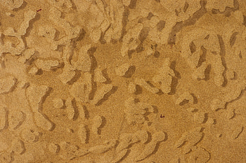 Water, Sand, Coast, Texture, Textures HD wallpaper