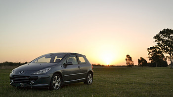 307, Peugeot HD wallpaper