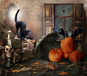 HAPPY HALLOWEEN, back, drop, cat, orange HD wallpaper