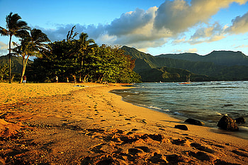 Golden Sands, sea, golden, sand, trees, mountains, water, ocean HD wallpaper