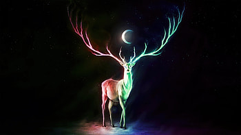 Deer Moon, deer, moon, artist, artwork, digital-art HD wallpaper