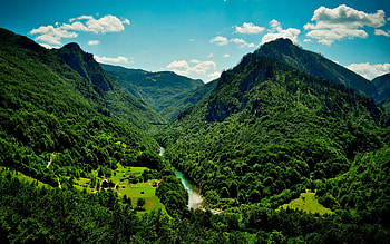 Green Mountain, Jungle Mountain HD wallpaper