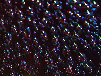 Abstract, Glare, Circles, Shine, Brilliance, Point, Points, Bokeh, Boquet HD wallpaper