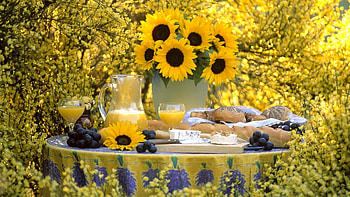 Food, Still Life HD wallpaper
