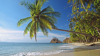 Costa Rica, Beach , Top , Beach backgrounds HD wallpaper