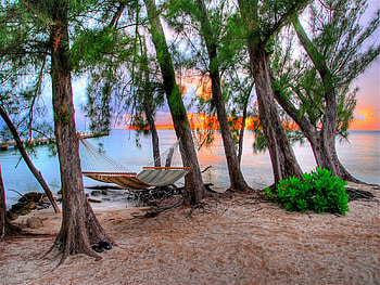 Hammock in paradise, paradise, hammock HD wallpaper