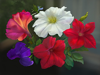 Petunias, art, painting, flower, pictura, vara, petunia, blue, white, summer, sergey zoschenko HD wallpaper