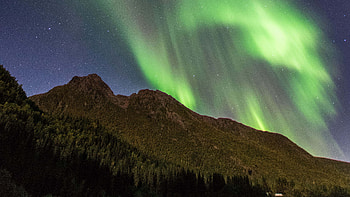 Aurora Borealis Northern Lights Hill Trees Mountain Slope Forest Starry Sky Nature HD wallpaper