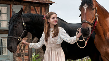 War Horse, Noble steed, Conflict of war, Emotional narrative HD wallpaper