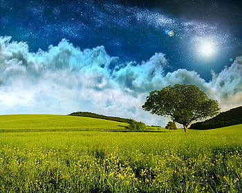 Field and Starry Sky, fiels, starry, green, clouds, trees, sky, nature HD wallpaper