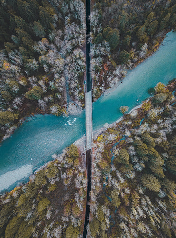 Bridge, river, forest, nature, aerial view HD phone wallpaper