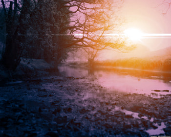 Awakening, trees, rive, water, sun rise HD wallpaper