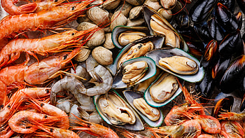 Sustainable seafood, Quebec's ocean-wise, Eco-friendly choices, Seafood sustainability HD wallpaper