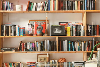 Wooden bookshelf filled with diverse books and decor in a cozy setting. HD wallpaper