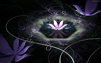 FLOWER TRAILS, purple, trail, abstract, flower HD wallpaper