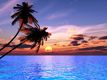 Beach Sunset, blue, sea, palm, clouds, trees, nature, sunset, beach HD wallpaper