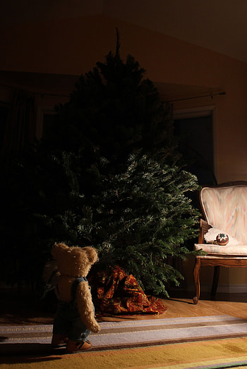 Holidays, New Year, Teddy Bear, Christmas, Toy, Christmas Tree HD phone wallpaper
