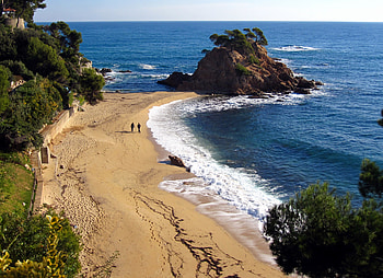 Beach, sand, graphy, beaches, trees, nature, ocean HD wallpaper