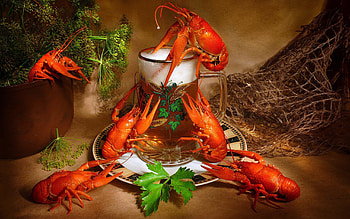 Food, Drinks, Beer, Crayfish HD wallpaper