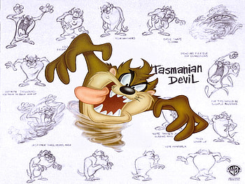 Taz, shiz HD wallpaper