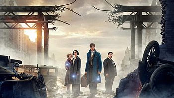 Fantastic Beasts, Eddie Redmayne, Katherine Waterston, High quality HD wallpaper