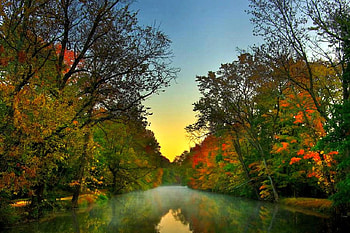 Colors of Autumn, , trees, colors, autumn, beautiful HD wallpaper