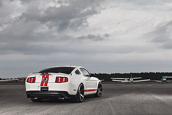 Ford, Mustang, Cars, Muscle Car, Gt500, Shelby HD wallpaper