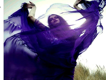 PURPLE SHEER VOILE, purple, voile, sheer, transparent, female HD wallpaper