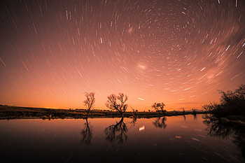 Nature, Trees, Sky, Stars, Night, Shine, Starry Sky, Brilliance HD wallpaper