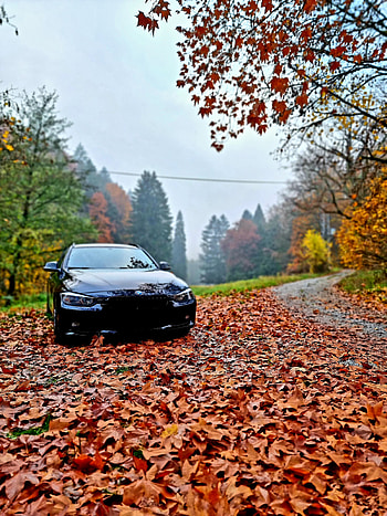 Bmw black, automotive lighting, bmw f30, sky, f31, nature, m3, tree, autumn, black on black HD phone wallpaper