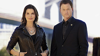 CSI: NY, TV Shows, Crime scene investigation, Detective drama HD wallpaper