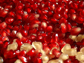 Food, Fruit, Garnet, Pomegranate HD wallpaper