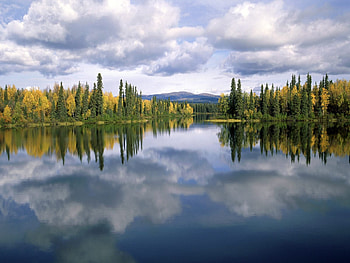 Dragon Lake, Yukon, Canada, smooth, lake, daylight, day, reflection, clouds, trees, autumn, nature, sky, canada, water, forest HD wallpaper