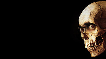 Evil Dead s HD wallpaper