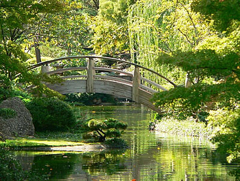 Japanese Garden Bridge, bridge, trees, bush, water HD wallpaper