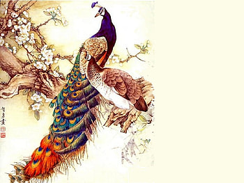 Birds on a Branch, branch, birds, flowers, peacock, peahen, blossom HD wallpaper