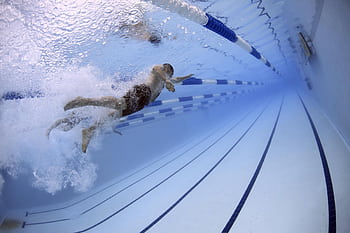 Dynamic of swimmers in an underwater pool race showcasing style techniques. HD wallpaper
