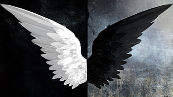 Fantasy - Angel Dark Black & White Wings Light Evil HD wallpaper