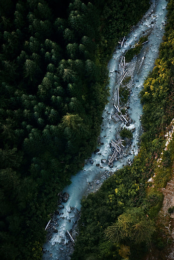 Whistler, Canada, water current, river, forest, tree, nature, aerial view HD phone wallpaper