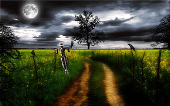 SCARECROW ROAD, scarecrow, road, moon, crow HD wallpaper