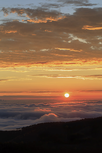 Nature, Sunset, Twilight, Clouds, Horizon, Dusk HD phone wallpaper