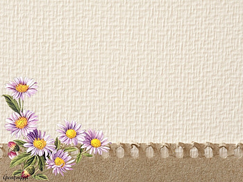 CARD 2, PAGE, COMMENT, CARD HD wallpaper