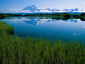 Nature, Mountain, Vegetation, Alaska, Lake Mckinley HD wallpaper