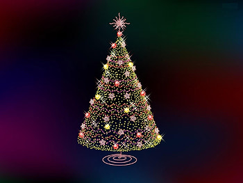 Holidays, Trees, New Year, Fir-Trees, Christmas, Xmas HD wallpaper