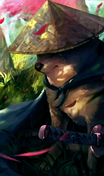 Ninja doge HD phone wallpaper