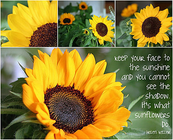 SunFlowers Mosaic, sunshine, shadow, light, yellow, face, sun, sunflower, forever HD wallpaper