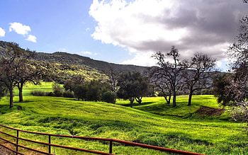 Nature, Trees, Mountains, Clouds, Grey, Fence, Valley, Plain, Meadows HD wallpaper