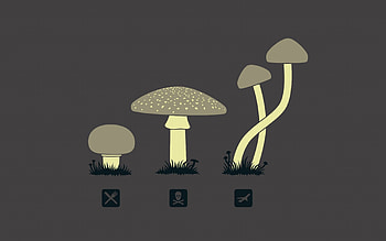 Mashrooms, Vector, , Drawing, Variety HD wallpaper